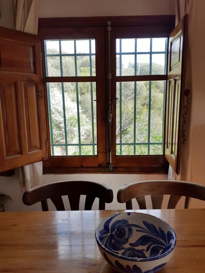 הוילה רואידרה San Jose מראה חיצוני תמונה